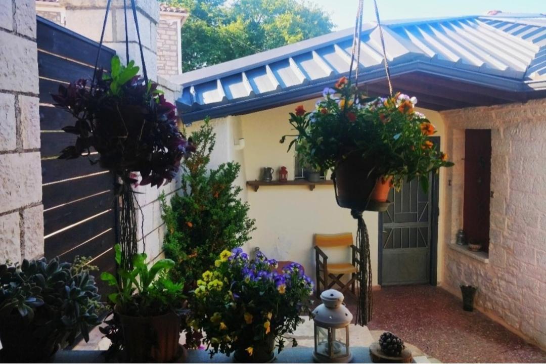 The Traditional Greek House ヨアニナ エクステリア 写真